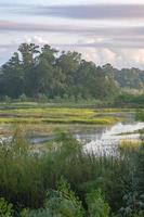 Sunrise at a wetland in the Piney Woods of East Texas. photo