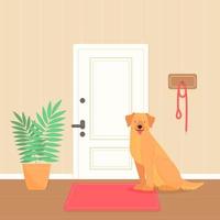 A Labrador or golden retriever dog is waiting for a walk. The dog is sitting in the hallway by the door. Vector pet illustration.