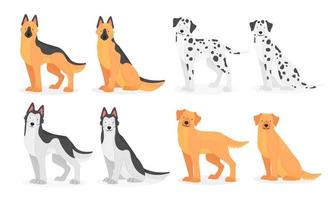 Collection of dog breeds German Shepherd, Dalmatian, Husky, golden Retriever, Labrador. Vector isolated pet illustration.