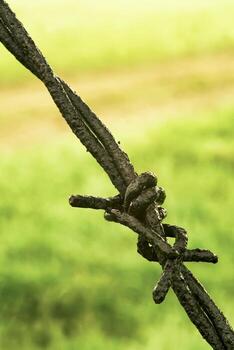 Cerca de alambre de púas foto