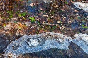 frozen puddle in early spring photo