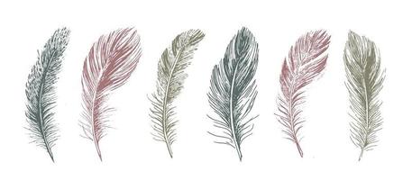 Feathers. Hand drawn sketch illustrations. vector