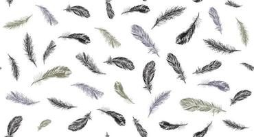 Feathers. Hand drawn sketch illustrations. vector