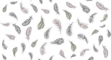 Feathers. Hand drawn sketch illustrations. vector