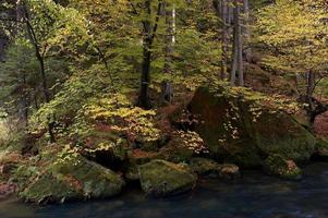 Autumn at the Brook photo