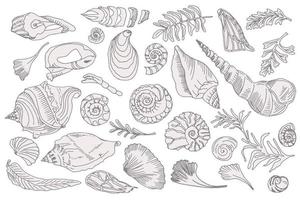Set of silhouette seashells and plants Hand drawn ocean shell or conch mollusk scallop Sea underwater animal fossil Nautical and aquarium, marine theme. Vector illustration