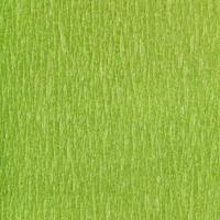 square background of fibrous structure green paper photo