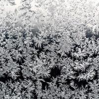 natural frozen pattern on windowpane in winter photo