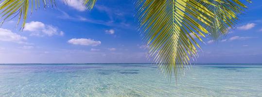 Fantastic beach scene. Beautiful sea horizon with palm leaves, tropical tree over amazing ocean lagoon. Island landscape, paradise beach concept. Panoramic vacation background. Sea sand sky nature photo