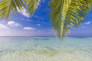 Fantastic beach scene. Beautiful sea horizon with palm leaves, tropical tree over amazing ocean lagoon. Island landscape, paradise beach concept. Panoramic vacation background. Sea sand sky nature photo