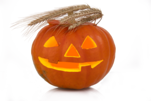 Orange holiday pumpkin with glowing eyes, nose, mouth and spikelets of wheat in the form of hair. Halloween concept. Transparent background. PNG