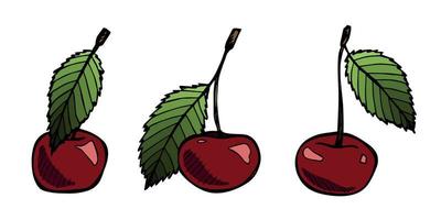 Vector cherry clipart. Hand drawn berry icon. Set of fruit illustration