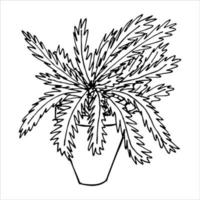 linda planta de interior dibujada a mano en un clipart de maceta. ilustración de la planta acogedor hogar garabato vector