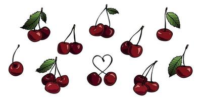 Vector cherry clipart. Hand drawn berry icon. Set of fruit illustration