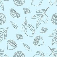 Seamless pattern of hand drawn lemons. Doodle hand drawn pattern vector