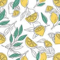 Seamless pattern of hand drawn lemons. Doodle hand drawn pattern vector