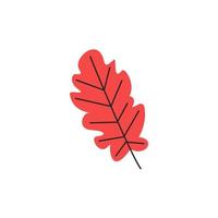 Red fresh autumn leaf with veins. Fall oak foliage season. Decorative botanical deciduous item. Simple single oak leaf silhouette. Hand drawn flat vector illustration isolated on white background