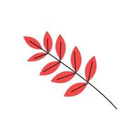 Red autumn leaves with veins. Fall rowan foliage season. Decorative botanical item. Simple single sorb tree branch silhouette. Hand drawn flat vector illustration isolated on white background