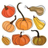 A set of pumpkins in different grades and shapes hand drawn. Vector collection of cute pumpkins on white background. Elements for autumn decorative design, halloween invitation, harvest thanksgiving.