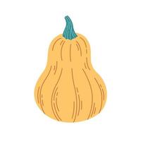 Pumpkin, gourd. Hello autumn, autumn harvest, farming. Vegetable vector