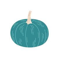 Pumpkin, gourd. Hello autumn, autumn harvest, farming. Vegetable vector