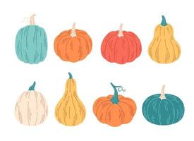 Pumpkins of different colors and shapes. Hello autumn, autumn harvest, farming. Vegetables, gourds. vector