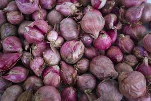 Top view of red onion or shallot, suitable for web landing page photo