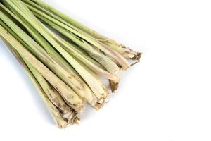 fresh lemongrass leaf isolated on white background. photo