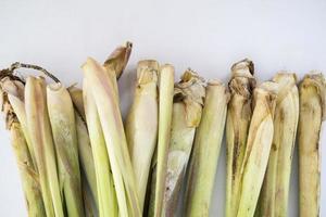 fresh lemongrass leaf isolated on white background. photo