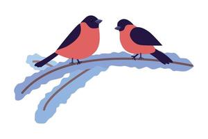 Two bullfinches sit on a snow-covered branch. vector illustration