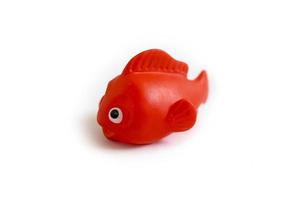 red rubber fish toddler toy used to play when bathing photo