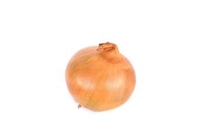 Onion, which has the scientific name Allium Cepa Linnaeus. photo