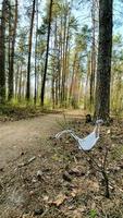 Mask hanging on bush, forest road, garbage photo