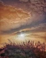 Autumn sky grass on a hill photo