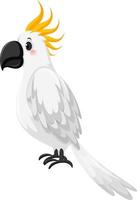 Cockatoo bird in cartoon style vector