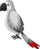 Parrot bird in cartoon style vector