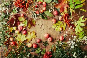 Red rowan berries, small apples, sea buckthorn, wild grape branches, maple leaves and autumn white wildflowers. Autumn background, harvest still life on wooden board. photo