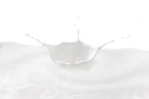 Milk crown splash, splashing in milk pool with white background photo