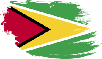 Guyana flagga med grunge textur png