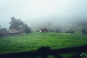 Green rice terraces and huts in the rainy season photo