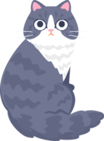 simpatico cartone animato gatto png