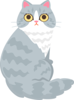 Cute cat cartoon png