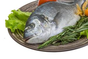 Raw dorado with herbs on the plate and white background photo