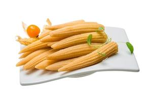 Baby corn in a bowl on white background photo