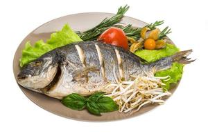 Grilled dorada on the plate and white background photo