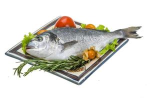 Raw dorado on the plate and white background photo