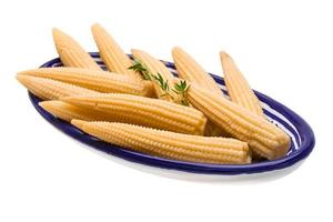 Baby corn in a bowl on white background photo