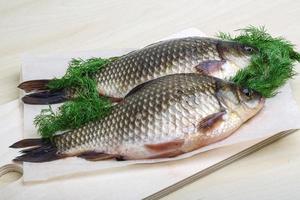 Two crucian on wooden board and wooden background photo