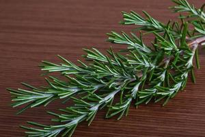 Rosemary branch on wooden background photo