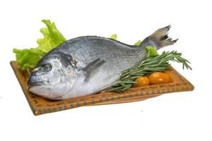 Raw dorado on the plate and white background photo